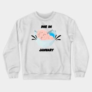 Due in January Great Gift for Family Crewneck Sweatshirt